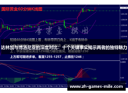 达林加与博洛尼亚的深度对比：十个关键事实揭示两者的独特魅力